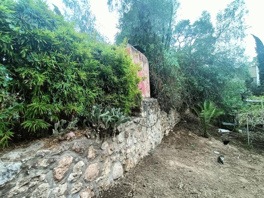 Casa Rural En El Campo Con Animales, Piscina Y Barbacoa Almodovar del Rio Bagian luar foto
