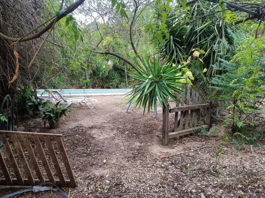 Casa Rural En El Campo Con Animales, Piscina Y Barbacoa Almodovar del Rio Bagian luar foto