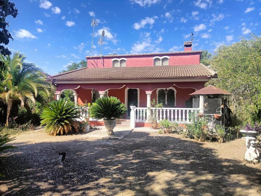 Casa Rural En El Campo Con Animales, Piscina Y Barbacoa Almodovar del Rio Bagian luar foto