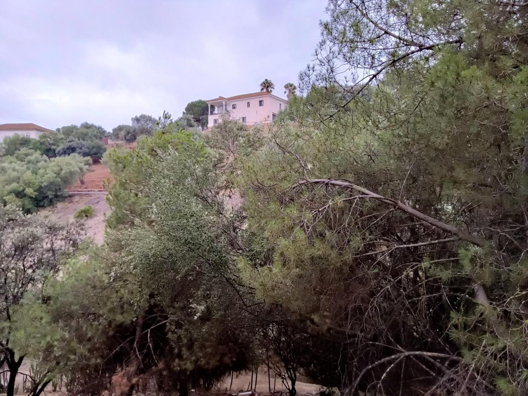 Casa Rural En El Campo Con Animales, Piscina Y Barbacoa Almodovar del Rio Bagian luar foto