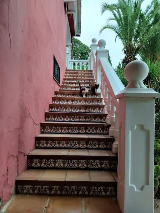 Casa Rural En El Campo Con Animales, Piscina Y Barbacoa Almodovar del Rio Bagian luar foto