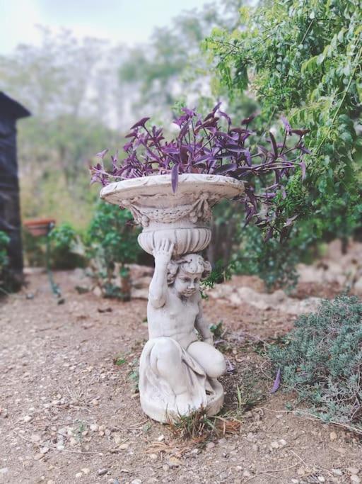 Casa Rural En El Campo Con Animales, Piscina Y Barbacoa Almodovar del Rio Bagian luar foto