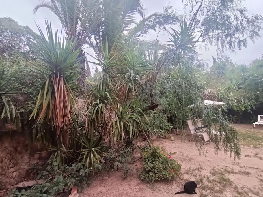 Casa Rural En El Campo Con Animales, Piscina Y Barbacoa Almodovar del Rio Bagian luar foto