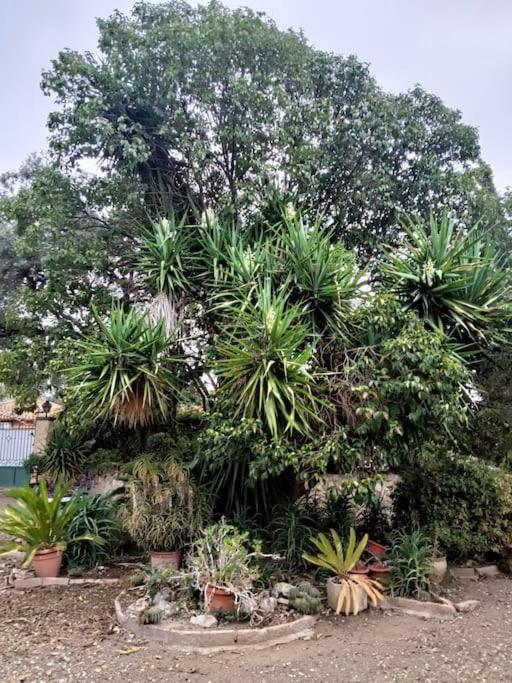 Casa Rural En El Campo Con Animales, Piscina Y Barbacoa Almodovar del Rio Bagian luar foto