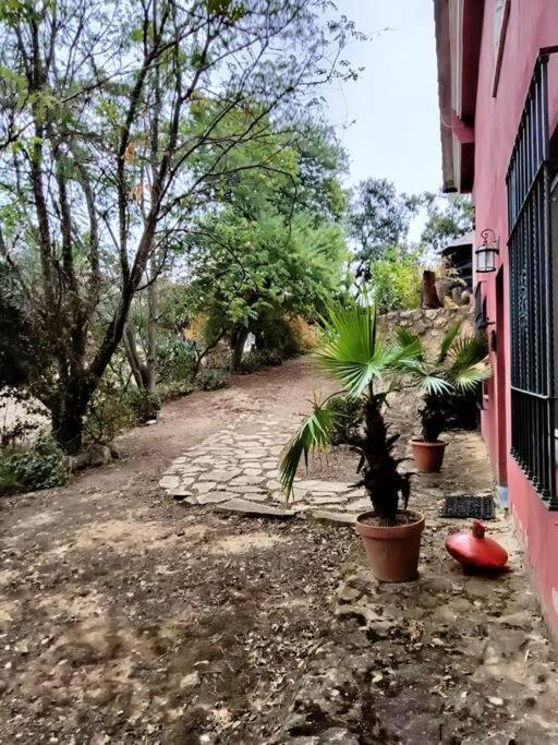 Casa Rural En El Campo Con Animales, Piscina Y Barbacoa Almodovar del Rio Bagian luar foto